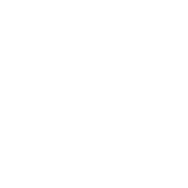 TIGER DAM SYSTEM