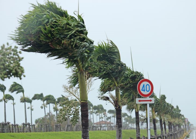台風
